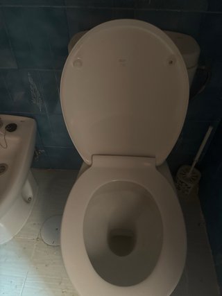 Inodoro + bide + lavabo + mampara ducha + plato