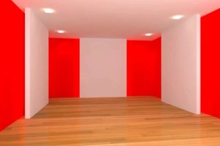 Pintor profesional y limpió