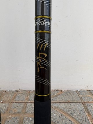 Cañas de surfcasting