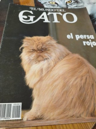 Colección el mundo del gato