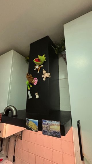 Campana extractora de cocina