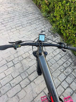 Bicicleta Eléctrica Trek Powerfly 4