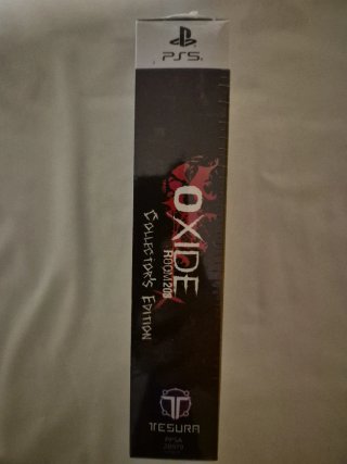 Oxide Room 208 Collector's Edition PS5