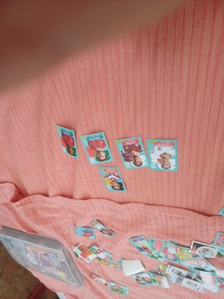 Cromos Mundial Panini
