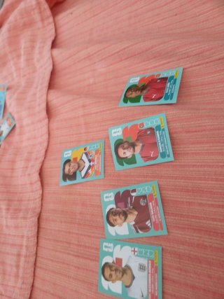 Cromos Mundial Panini