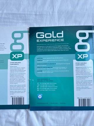 GOLD EXPERIENCE A2 STUDENTS' BOOK WITH DVD-ROM ...