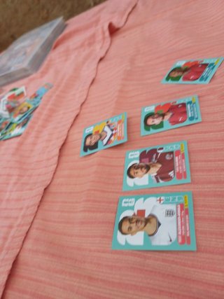 Cromos Mundial Panini