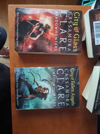 City of Ashes