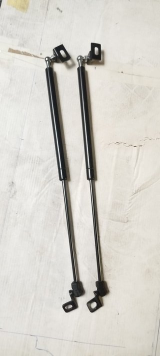 Amortiguadores Capot (2 unidades)