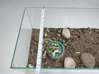 Terrario de cristal para mascotas