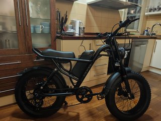 Bicicleta Eléctrica Fat Tire