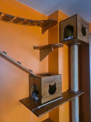 Parque de juegos para gatos