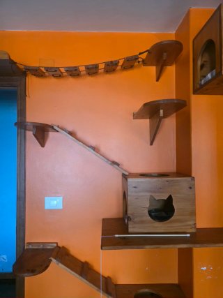 Parque de juegos para gatos