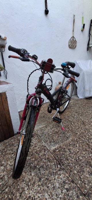 Bicicleta infantil B'TWIN Popply 500 (24 pulgadas)