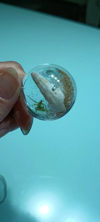 Colgantes resina mar con caracolas, arena y algas