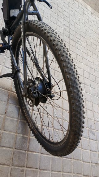 Bicicleta eléctrica con pedaleo asistido