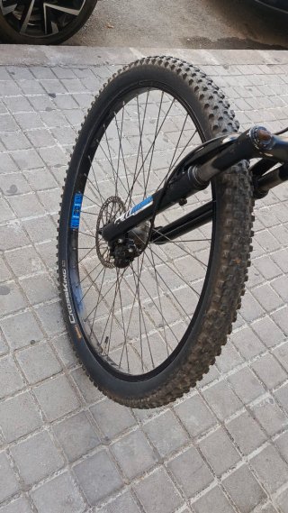 Bicicleta eléctrica con pedaleo asistido