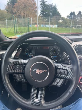 FORD MUSTANG 2.3 ECOBOOST 317CV AUTO 10v (12/2023)