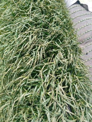 Césped artificial verde