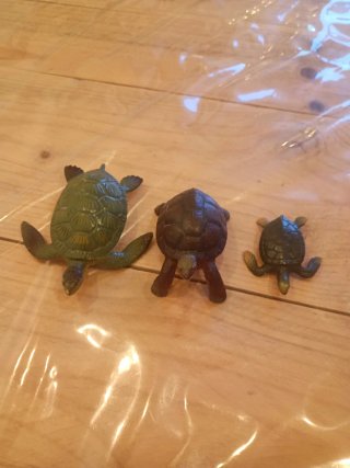 Animales variados