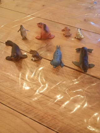 Animales variados