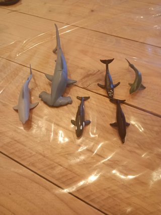 Animales variados
