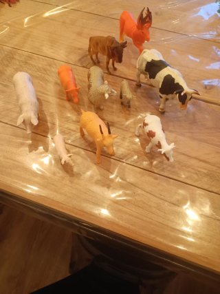 Animales variados