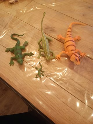 Animales variados