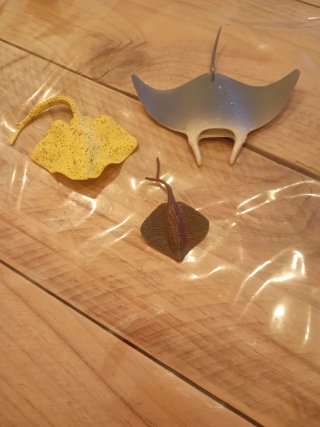 Animales variados