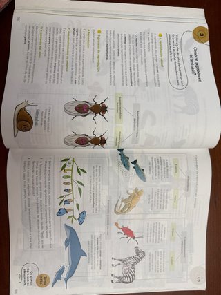 Ciencias da Natureza 5.