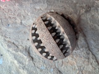 2 Pelotas Kong y otra