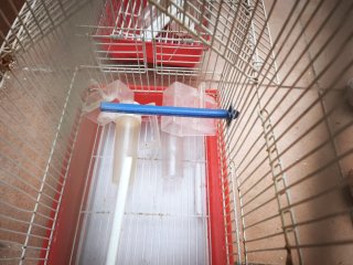 Pack 2 Jaulas Pájaros Canarios Periquitos