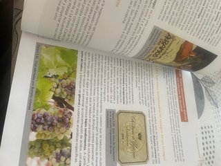 El vino y su servicio 2.ª edición