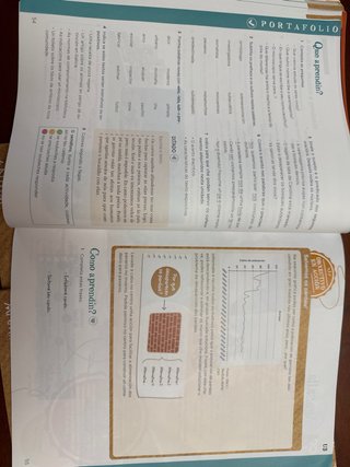 Lingua 5.