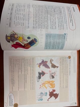 Lingua 5.