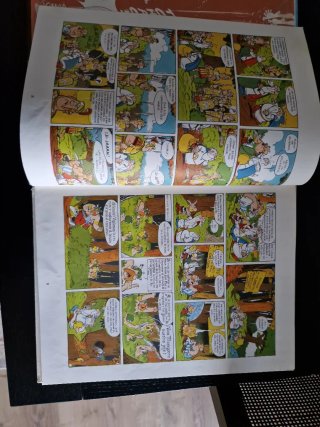 Libro de Asterix. Asterix y los godos