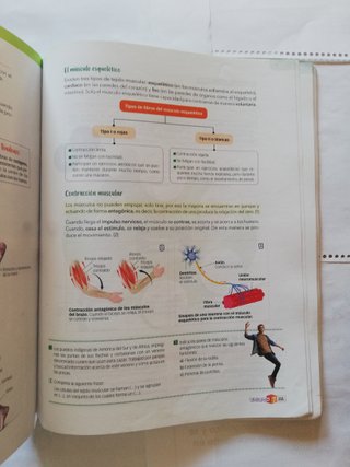 Diversificacion curricular, cientifico tecno 3 ESO