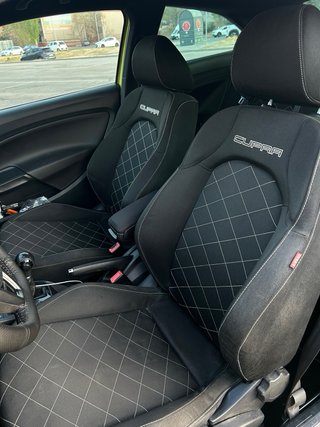 SEAT Ibiza cupra 2010