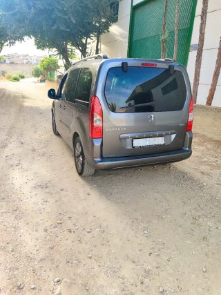 Peugeot Partner 2009