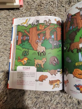 El libro de las 1001 palabras castellano-inglés