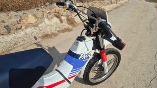 Honda PXR 50