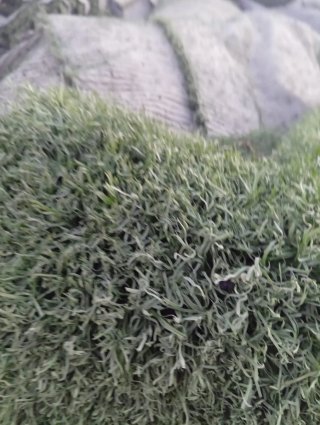 Césped artificial verde