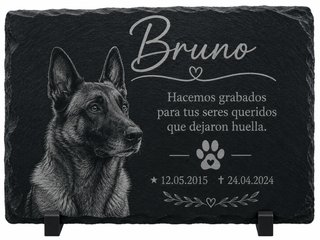 Placa Conmemorativa Mascotas