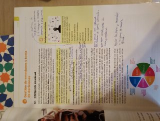 Libro iniciación actividad emprendedora y empresa