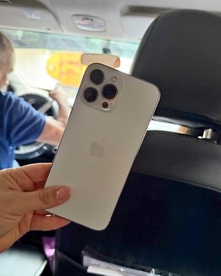 iPhone 13 Pro Max 256GB