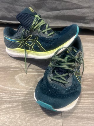 Zapatillas Asics Evoride 2
