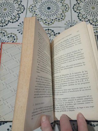 Diccionario de términos de arte el vocabulario ...