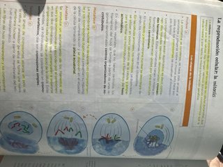 Biología, Geología y Ciencias Ambientales 1 Bac...