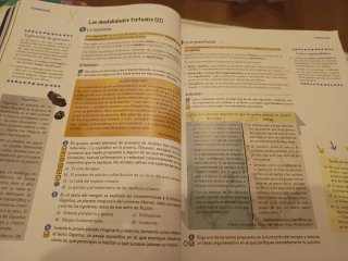 Lengua castellana y literatura 2o ESO
