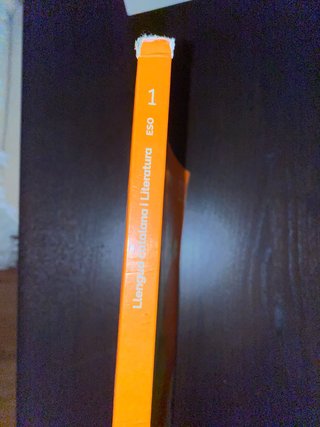 LLENGUA CATALANA I LITERATURA 1 ESO CONSTRUINT ...